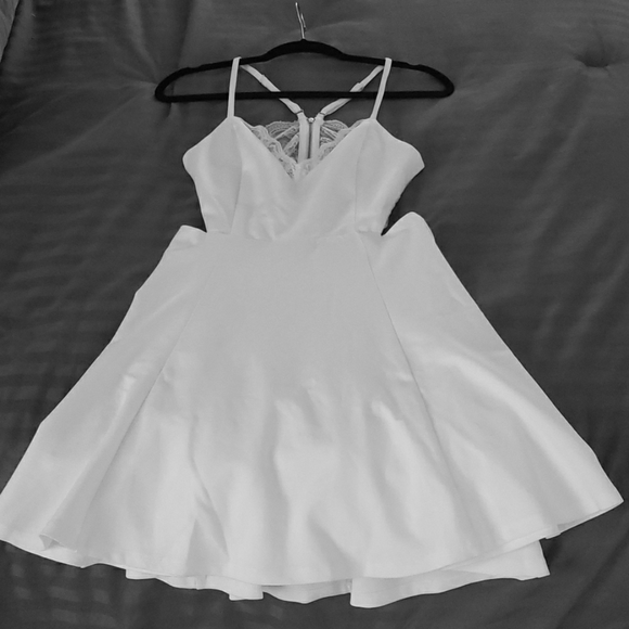 LUSH Perfect Evening Ivory Lace Skater Dress - Picture 4 of 8